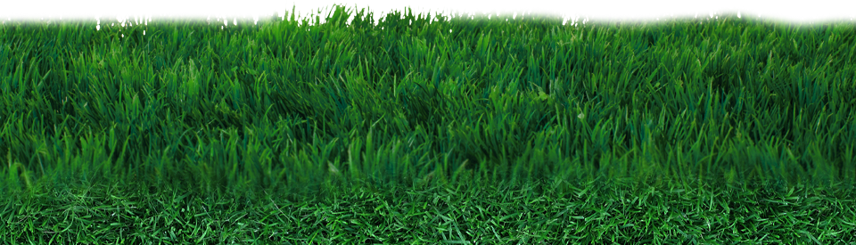 Field Png File (green, white)