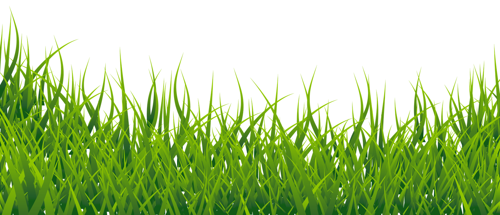 Field Png Hd Image (black, olive)