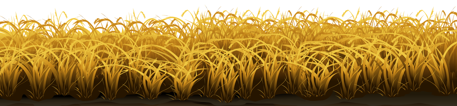 Field Png Photo (black, orange)