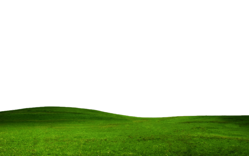 Field Png Picture (black, green, olive)