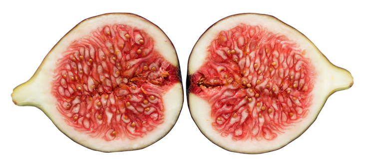 Fig Half Transparent Png (black, beige, pink)