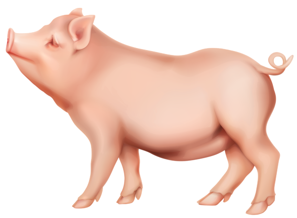 Pig Png (black, pink)