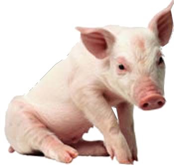 Pig Png Pic (black, beige)