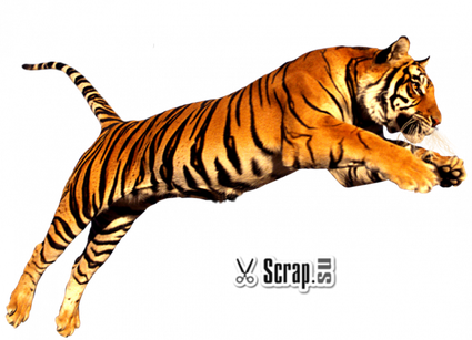 Tiger Png Hd (black)