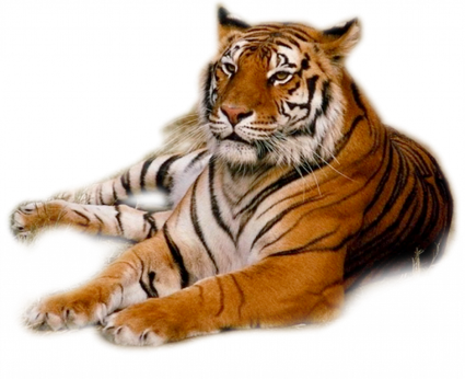 Tiger Png Transparent (black)