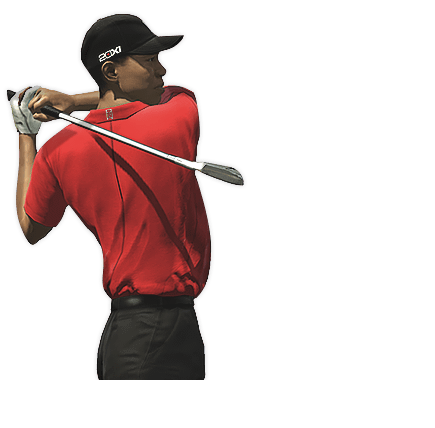 Tiger Woods (maroon, black, chocolate)