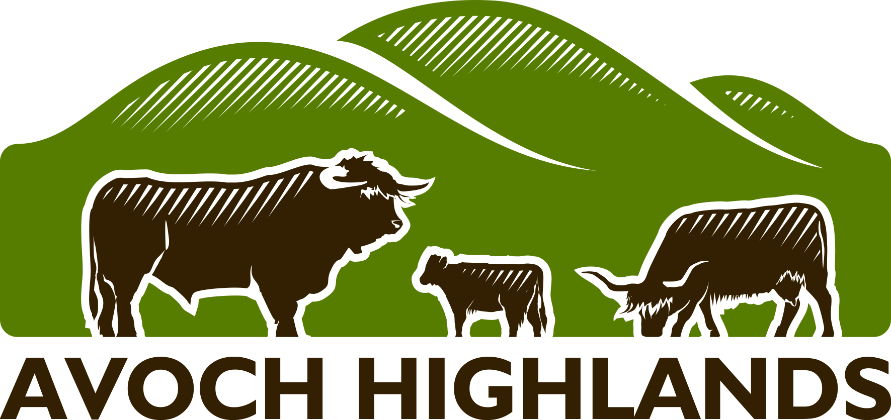 Highland Cow Png Transparent (black, gray, olive, white)