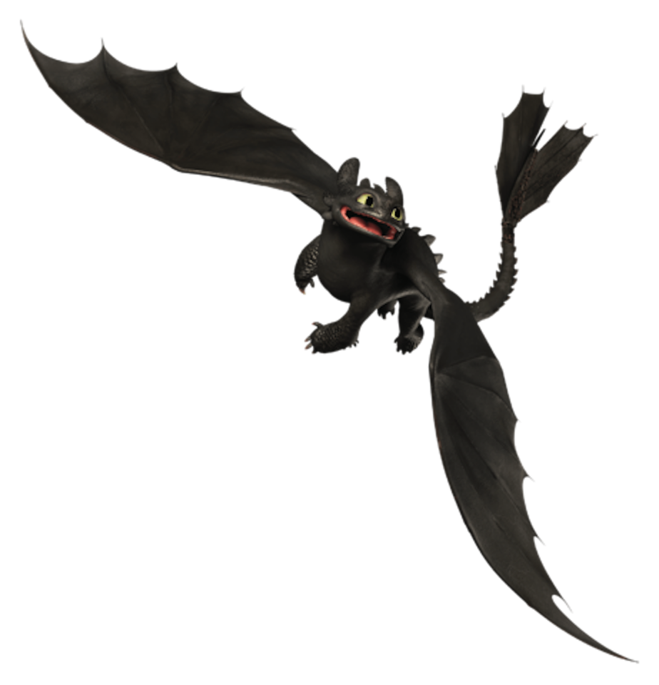 Night Fury Png Isolated Transparent Picture (black)