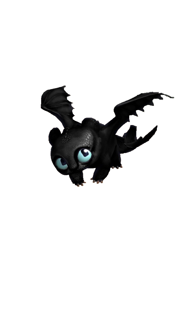 Night Fury Transparent Background (black)