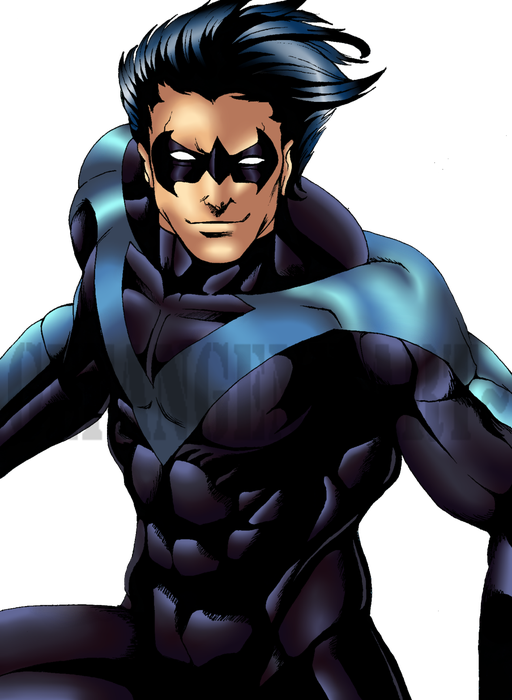 Nightwing Transparent Background (black)