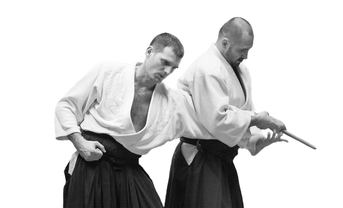 Aikido Background Isolated Png (black)