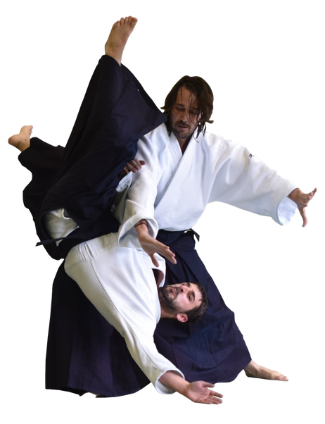 Aikido Download Png Isolated Image (black)