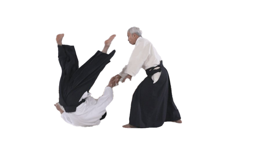 Aikido Png File (white, black)