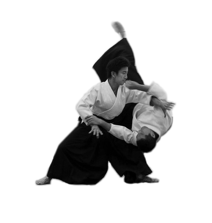 Aikido Png Isolated Photo (black)