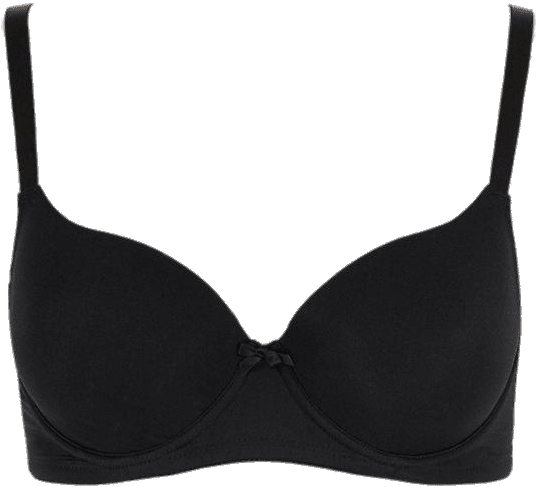 Bikini Png Photo (black, gray)