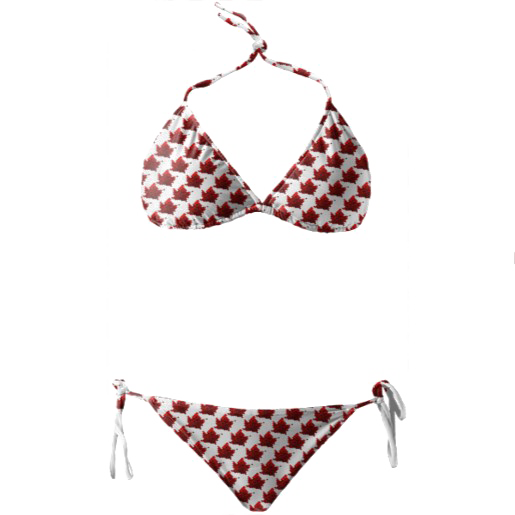 Bikini Transparent Background (white)