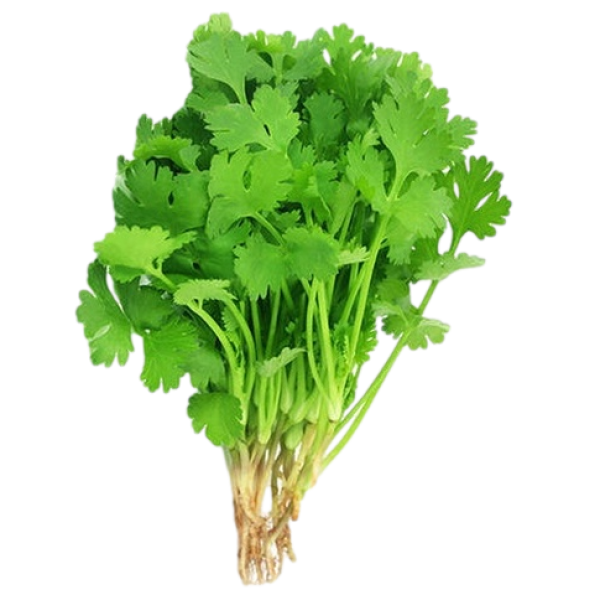 Cilantro Download Png Image (black, white, olive, gray)