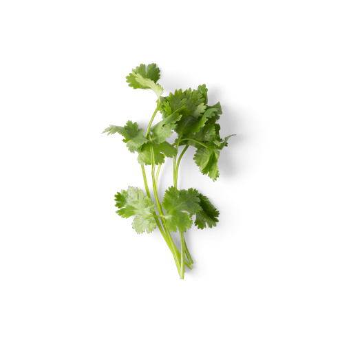 Cilantro Png Clipart (black)