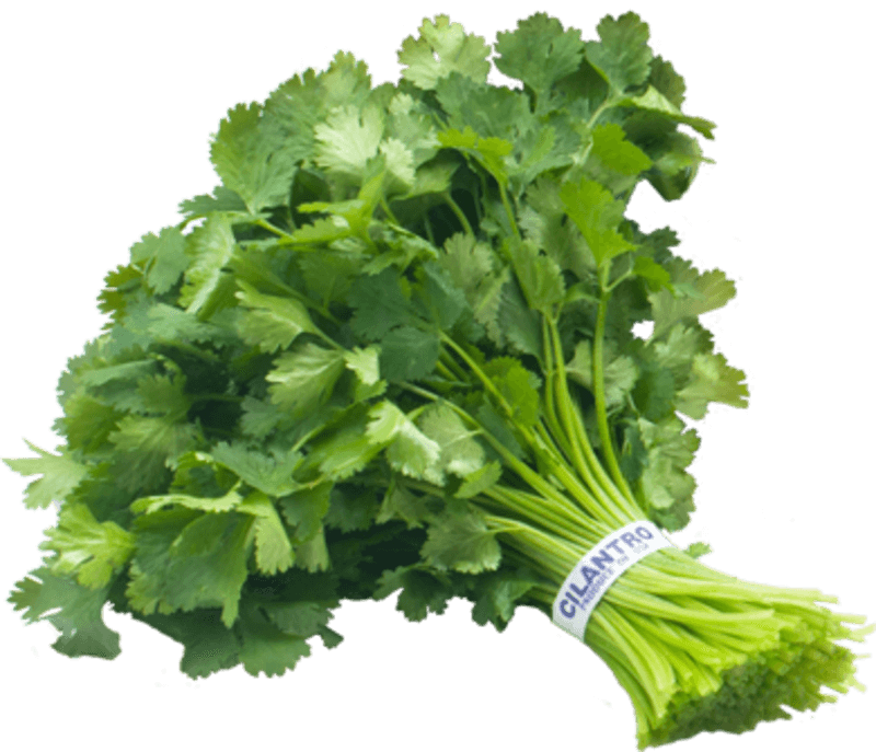 Cilantro Png File (black)