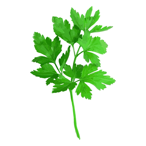 Cilantro Png Isolated Hd (black, green)