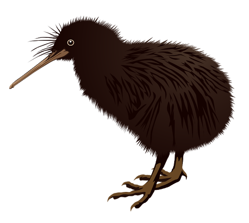 Wild Kiwi Bird Transparent Png (black)