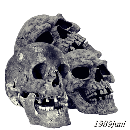 Pile Of Skulls Png Transparent Image (black, gray)