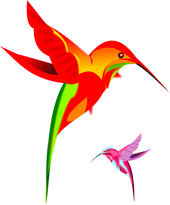 Silhouette Hummingbird Png Transparent Image (red, black, orange)