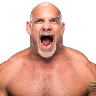 Bill Goldberg Png Transparent Background (salmon, pink, black)