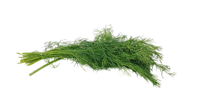 Dill Png File (black)