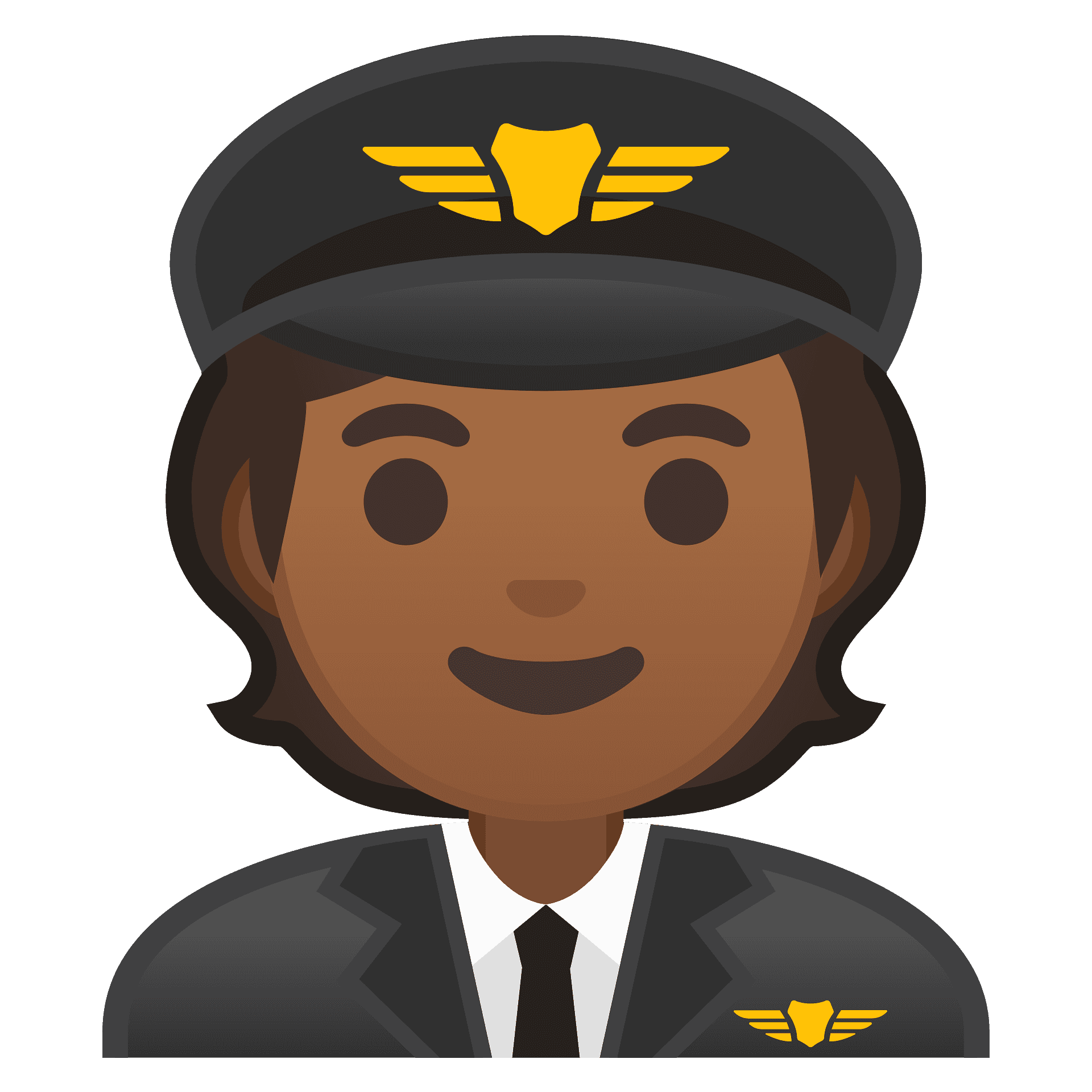 Pilot Png Photo (gray, indigo, black, chocolate)