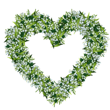 Lily Of The Valley Png Photo (black)