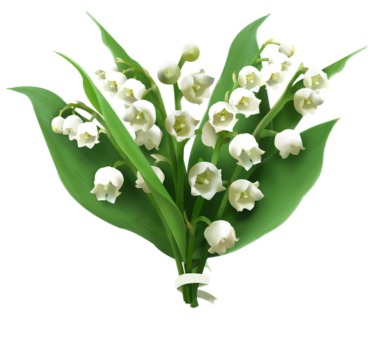 Lily Of The Valley Png Picture (black, olive, gray, white)