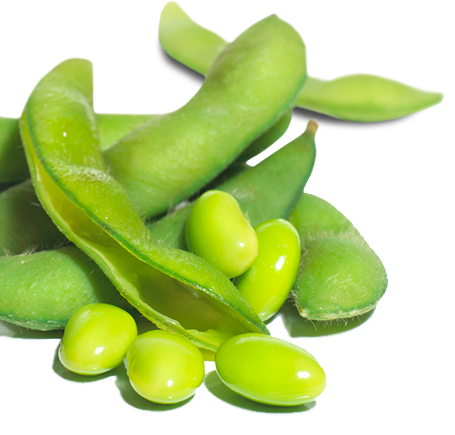 Lima Beans Png File (gray, silver, mint, black, white)