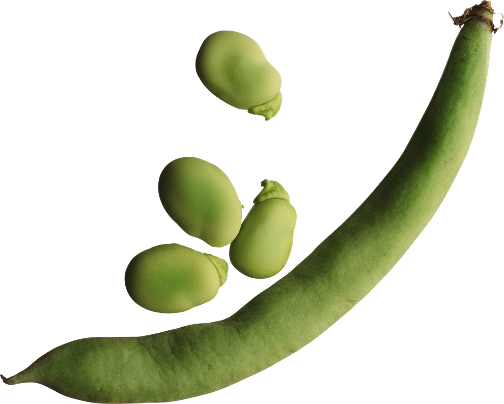 Lima Beans Png Hd Isolated (black)