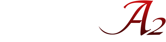 Final Fantasy Tactics Logo Png (black, gray, silver, white)