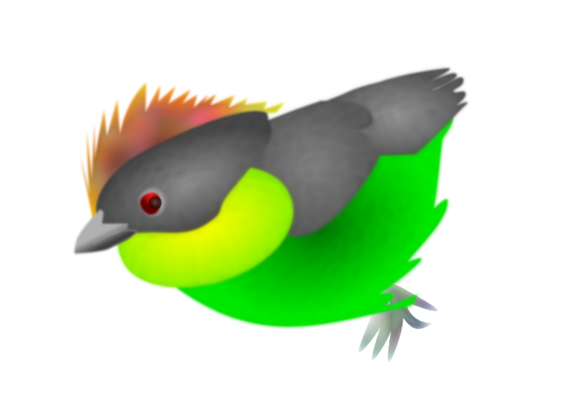 Finch Png Pic (black, gray, lime)