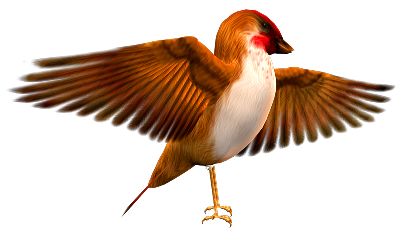 Finch Png Transparent Hd Photo (black, maroon)