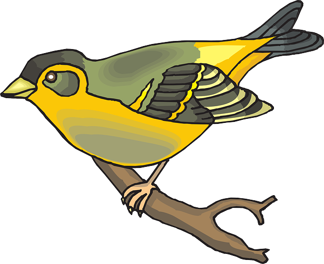 Finch Png Transparent Image (salmon, gold, gray, white)