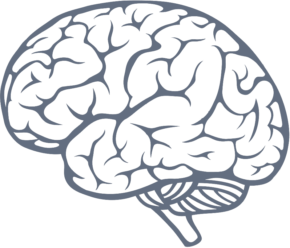 Mind Download Png (gray)