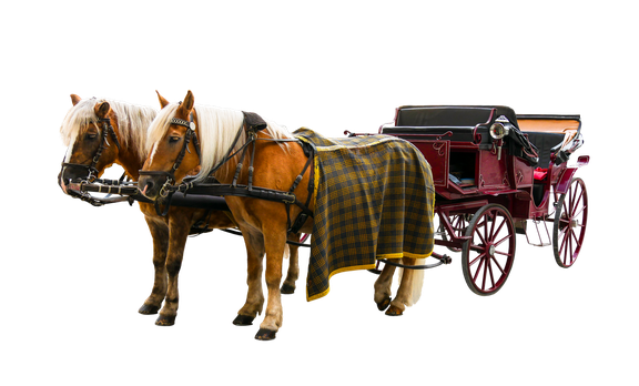 Cinderella Carriage Png Hd Isolated (black)