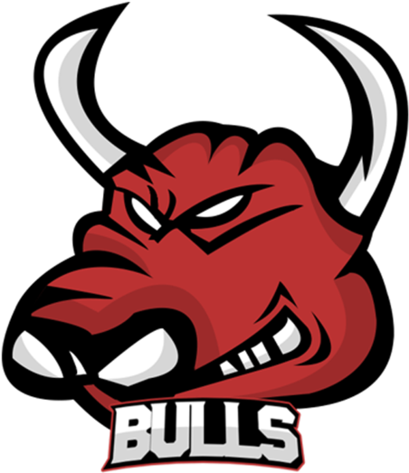 Windy City Bulls Png (black, maroon, chocolate, white, silver)