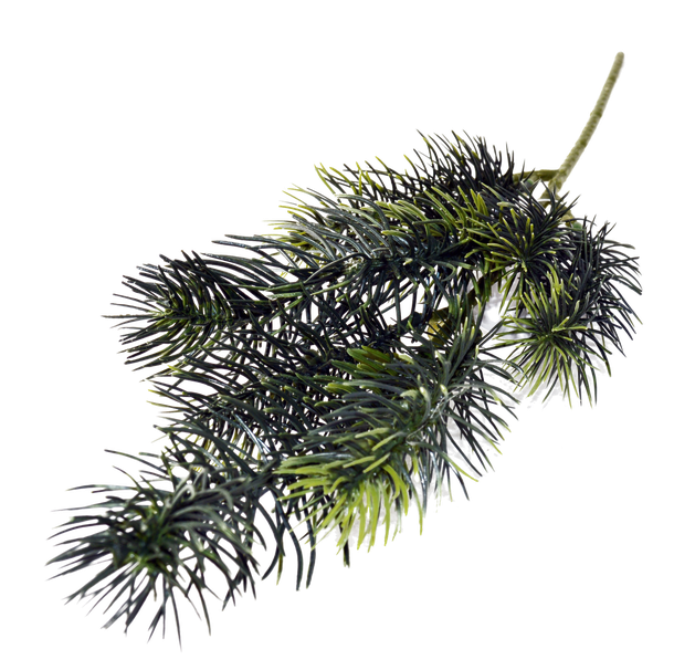 Pine Branch Download Png Image (black)