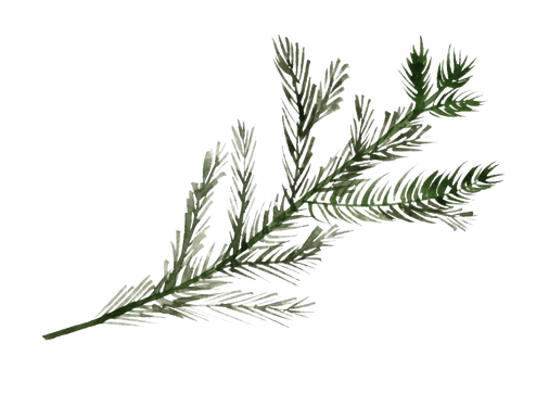 Pine Branch Png File (black)