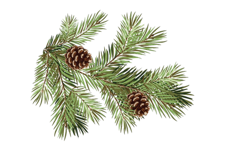 Pine Branch Transparent Background (black)