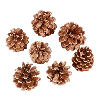 Pine Cone Png Transparent Image (black)