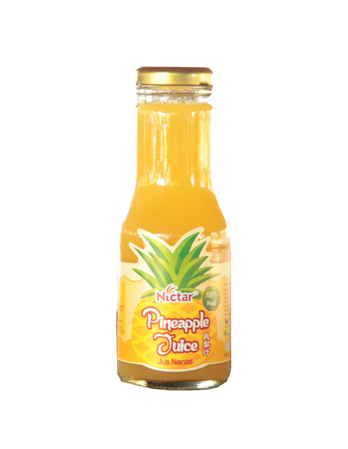 Pineapple Juice Transparent Png (salmon, black, gold, orange)