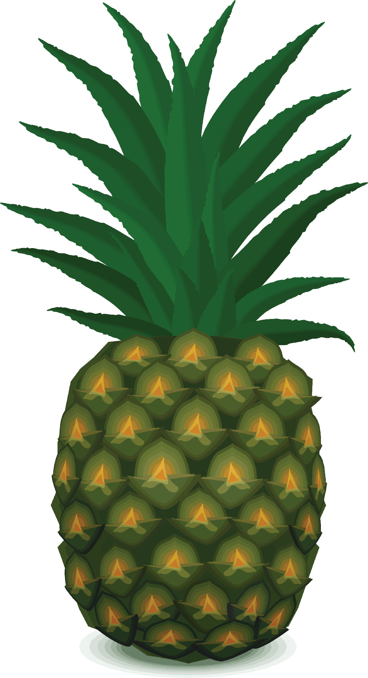 Pineapple Png Download Image (black, green)