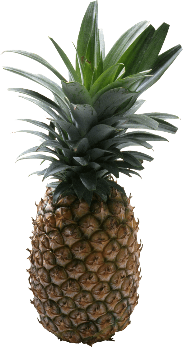 Pineapple Png No Background (black)