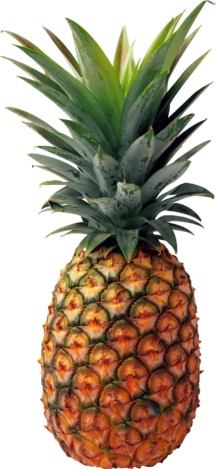 Pineapple Png Transparent Background (black)