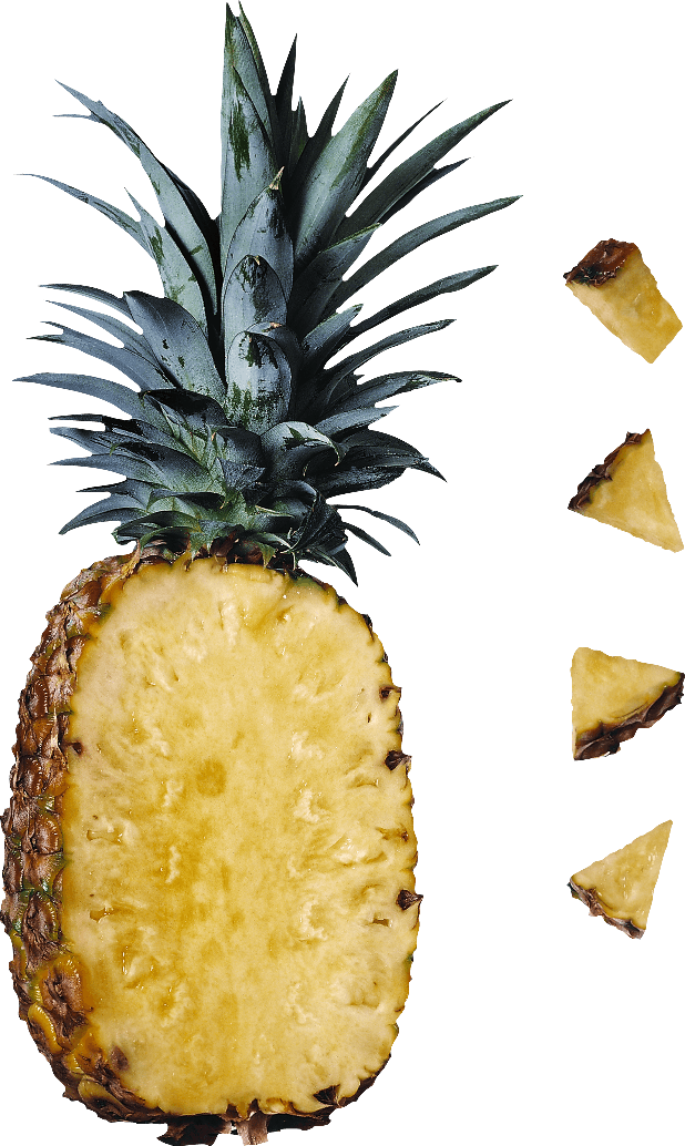 Pineapple Png Transparent File (black, salmon)